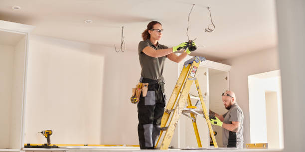 Best Electric Panel Repair  in Townsend, DE